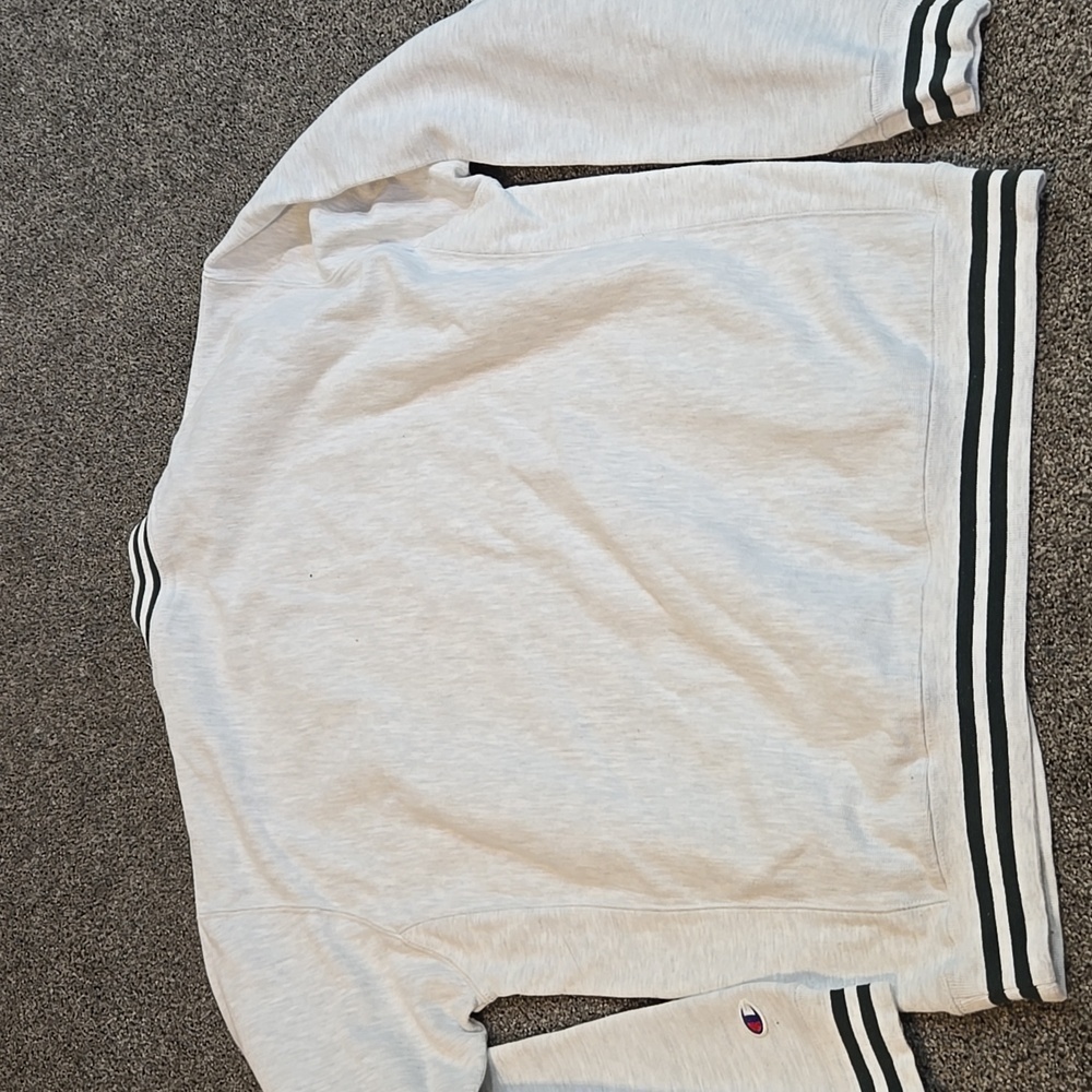 Vintage Champion Mens Okoboji The Lake Reverse Weave 90" Crewneck Pullover Sz L - Picture 7 of 7